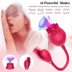 ROSE SUCK MISS COYNESS USB 10 FUNCTION 5903661805456 Multifunkciós