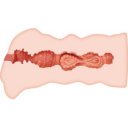 Masturbator Vagin Crazy Bull Leila 6959532322781 Művaginák