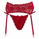 Cotelli piros színű, csipke  harisnyatartó tangával 4024144433568 szett