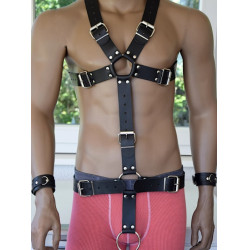 Harness System For Men With Penis Ring OS 5000128038041 Fetish Fetish