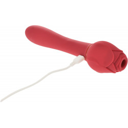 Petaly Stimulator Dual Vibrator 10 Vibration Modes + 5 Modes Licking Silicon USB Red 6427885003393 Multifunkciós