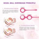 Set Bile Vaginal Kegel Prima Pink Silicon 5000128012621 Gésagolyók