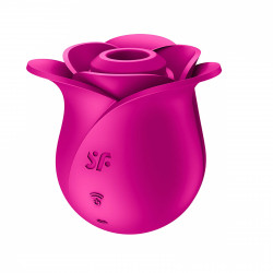 Pro 2 Modern Blossom Clitoris Stimulator, 11 Suction Speeds, Silicone, USB, Pink  4061504065861 Multifunkciós