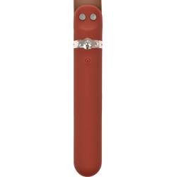 Vibrator & Rizey 9 Vibration Modes Brown Silicon Vibration USB 5000128032339 Fetish