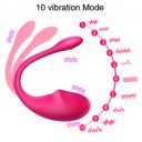You Vibrator Smart Eva App Control Bluetooth USB Roz 22 Cm  6427885000477 Multifunkciós