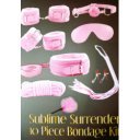 Sublime Surrender 10 Piece BDSM Kit, Pink  6427885017949 szett