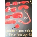 Sublime Surrender 10 Piece BDSM Kit RED  6427885017932 szett