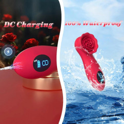 Rosa Clit Stim, 9 Modes, LCD, Silicone, USB, Red 6427885017963 Multifunkciós