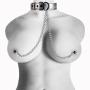 Metallic Silver Collar With Nipple Clamp  6970260906081 Fetish