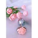 Anal Plug Rose Pleasure Medium, Silver/Pink 6427885017406 Anál