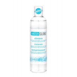 WATERGLIDE 300ML COOLING 4019514306306 Kozmetikumok Kozmetikumok