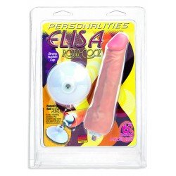 3000012213 Dong Dong